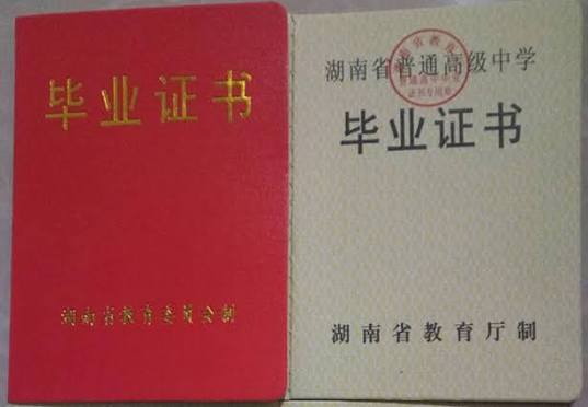 证件案例 4